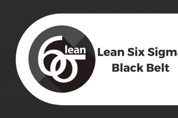Six Sigma Black Belt Project Examples